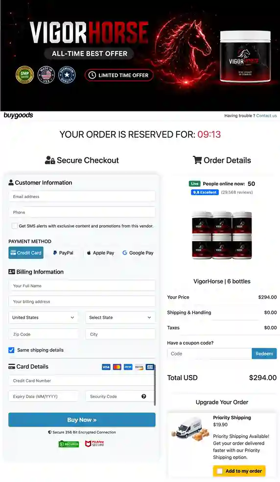 VigorHorse Secure Payment — Major Cards Accepted